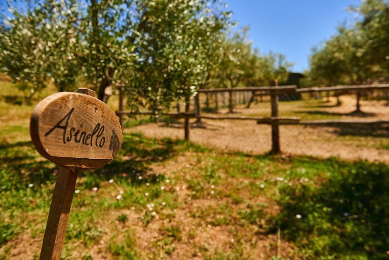 Casale Di Valle Villa Vinci Bagian luar foto