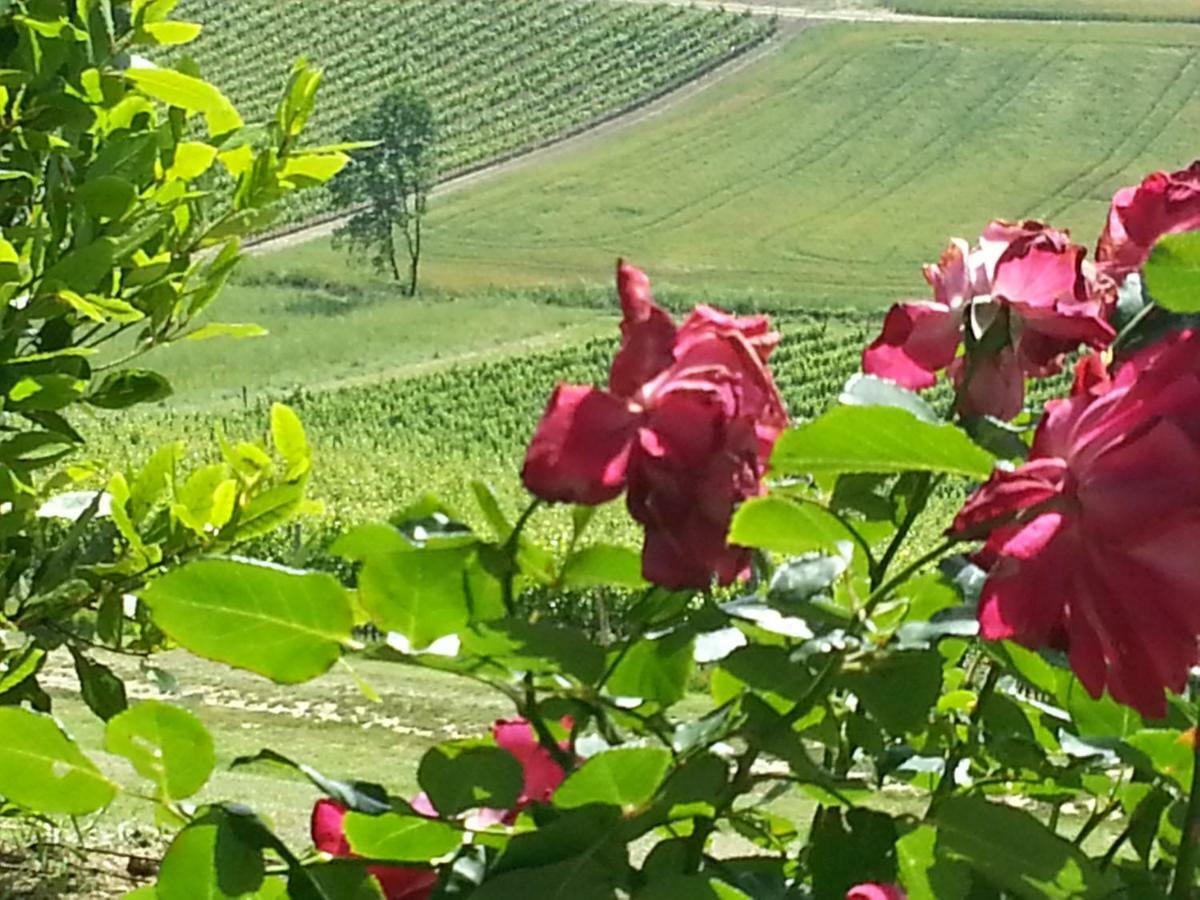 Casale Di Valle Villa Vinci Bagian luar foto