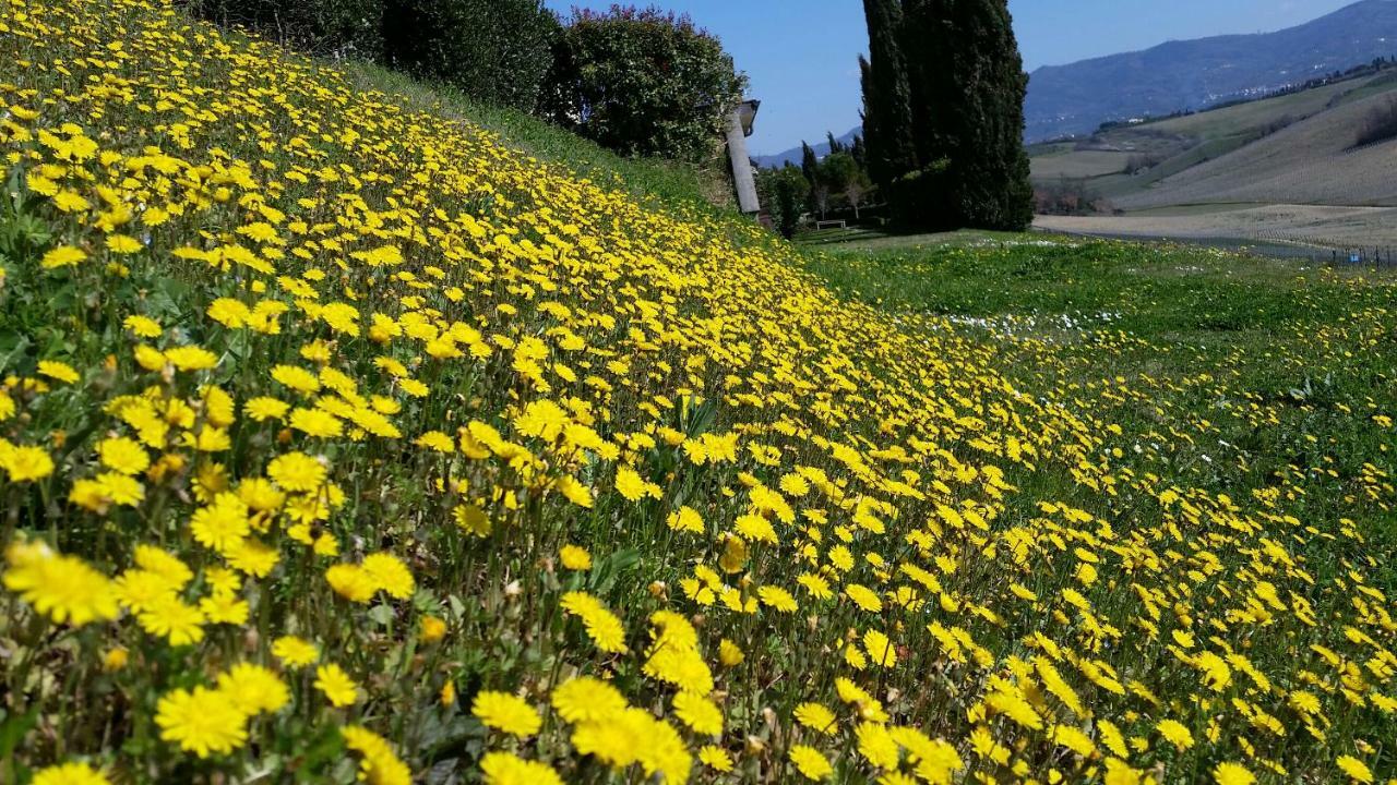 Casale Di Valle Villa Vinci Bagian luar foto