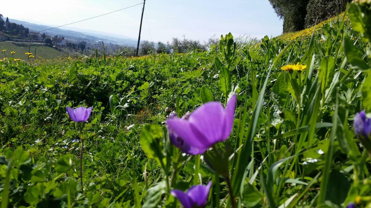 Casale Di Valle Villa Vinci Bagian luar foto